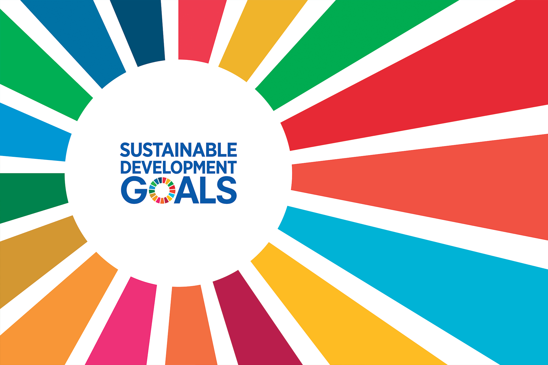 Honoris | Impact Digital Report 2022 | Theme 6: Sustainability