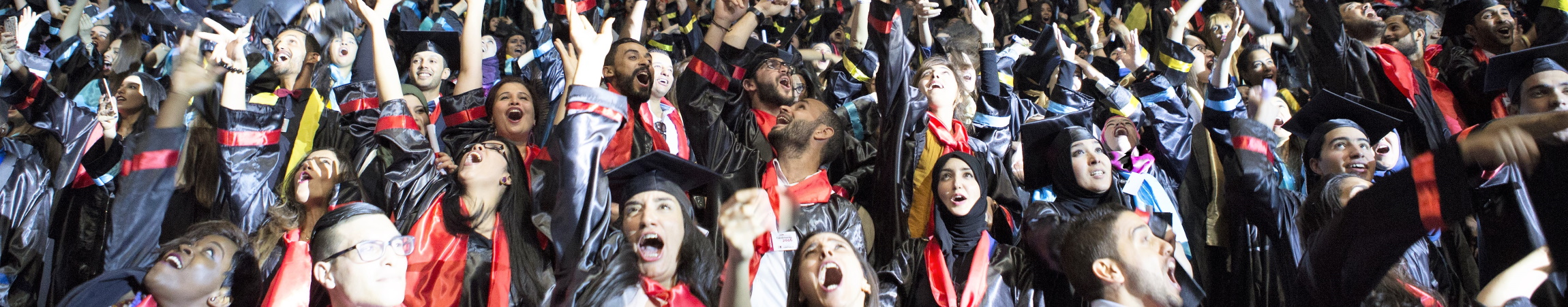 Honoris Mission and values